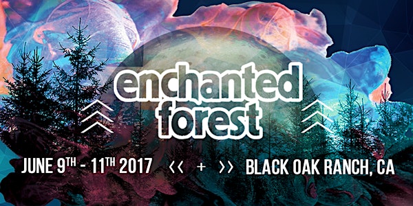 Enchanted Forest Gathering 2017