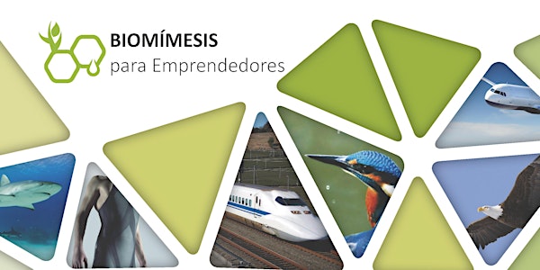 Taller de BIOMÍMESIS para Emprendedores - BIOMIMICRY Workshop for Entrepreneurs