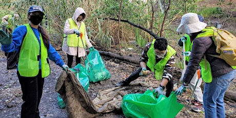 Get your Daily Dose of Cleanups! - Creek & Trail at Watson Park
