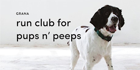 Run club for pups n' peeps primary image