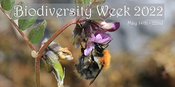 Biodiversity Week in Merlin Woods 14th-22nd May