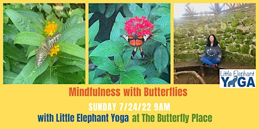 Mindfulness with Butterflies 7/24