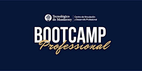 Imagen principal de Bootcamp Professional