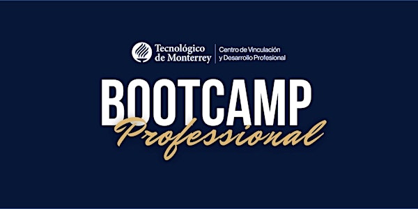 Bootcamp Professional