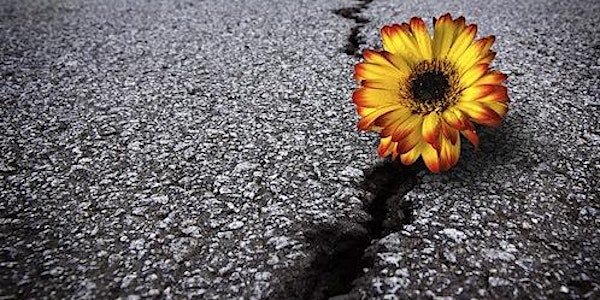 WEBINAR: From bigger towards better, how is a post-growth economy possible?