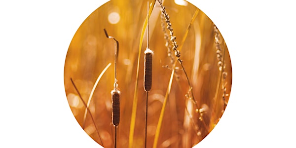 A Prairie Boy's Life