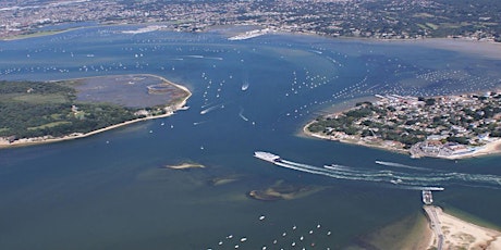 Primaire afbeelding van Can low-cost sensors monitor, protect and improve Harbour water quality?