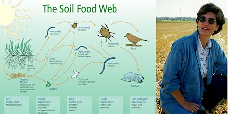 Healthy Foodwebs, Healthy Soils primary image