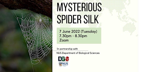 Mysterious Spider Silk tickets