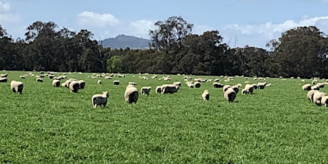 2022 Pasture Research Update - 1st June - Wagga Wagga NSW tickets