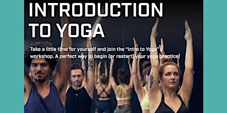 Intro to Yoga Workshop (1 workshop & 5 classes)