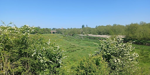 The Stour at Hambrook Marshes