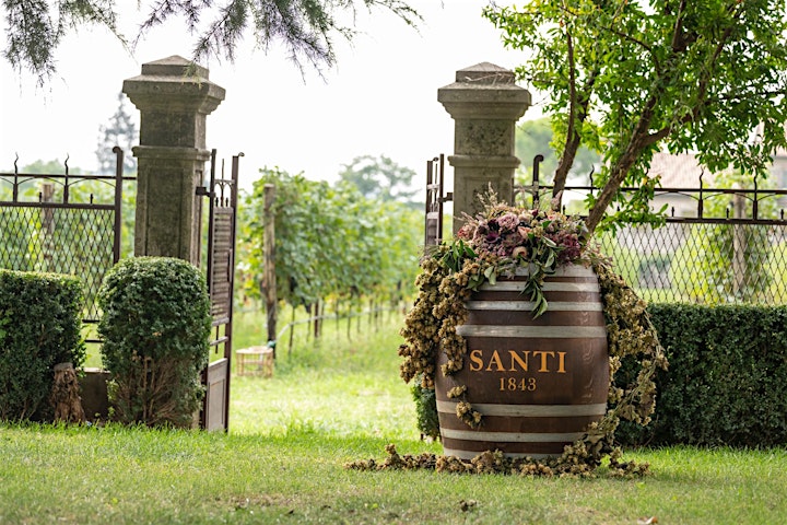 Immagine Santi Wine Challenge | Terre vocate per grandi Rosé