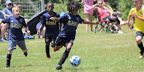 Bold and Gold Sports Soccer Assessments for Fall 2022 tickets