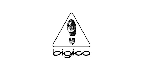 BIGICO : Consultation avec les artistes tickets
