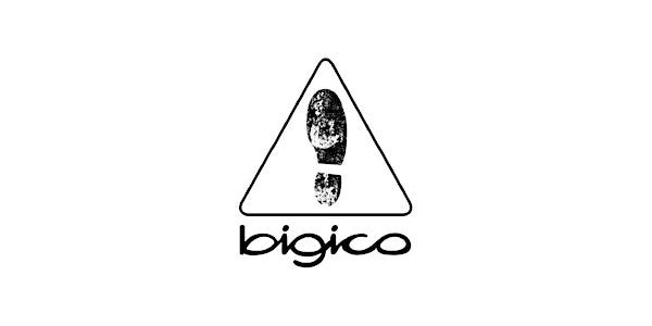 BIGICO : Consultation avec les artistes