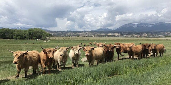 Grazing Planning and Soil Health Workshop