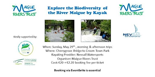 Explore the Biodiversity of the River Maigue by Kayak
