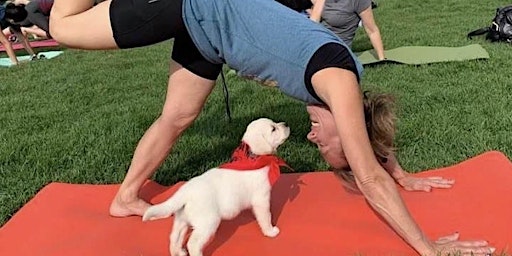 Rescue Puppy Yoga 