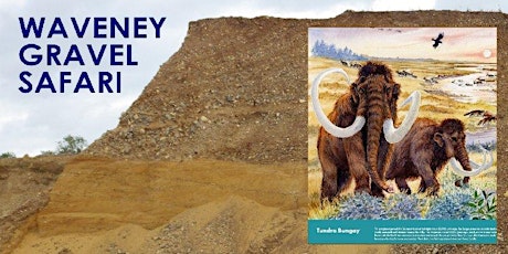 Waveney Gravel Safari tickets