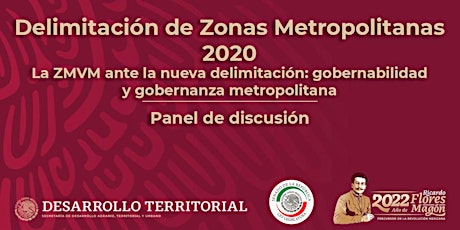 Panel: Delimitación de Zonas Metropolitanas 2020 boletos