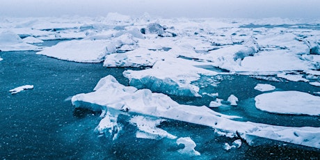The Arctic Region in an Era of Uncertainty billets