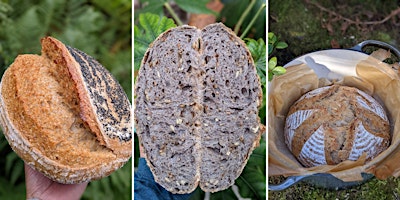 Primaire afbeelding van Sourdough Workshop