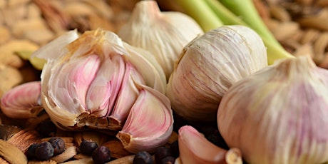 Grow With Us  - Virtual: Growing Great Garlic