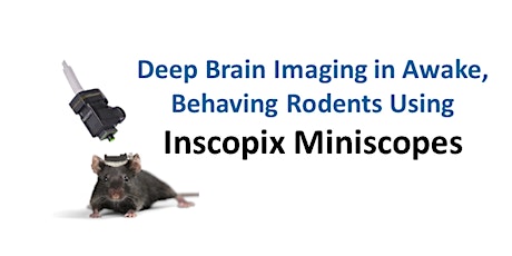Inscopix Seminar: Imaging in freely-moving rodents tickets