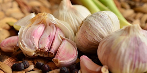 Grow With Us  - in-Person: Growing Great Garlic
