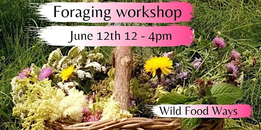 Summer foraging workshop