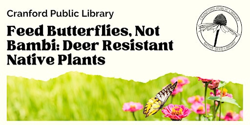 Feed Butterflies, Not Bambi: Deer Resistant Native Plants