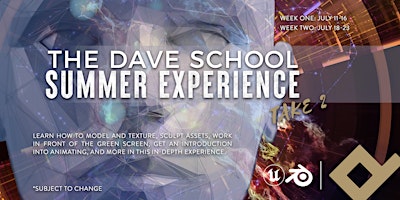 The DAVE School Summer Experience Take 2