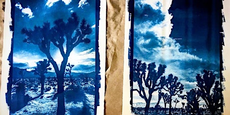 Make Sun Prints (Cyanotypes) in Joshua Tree tickets