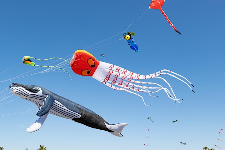 Redcliffe KiteFest 2022 image