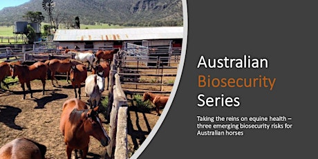 Taking the reins on equine health – three emerging biosecurity risks tickets