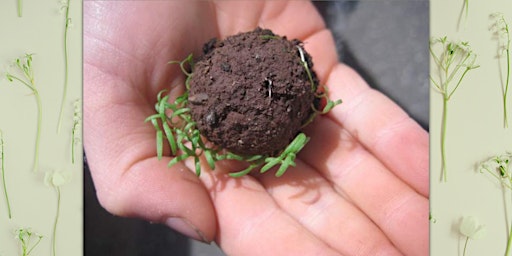 Half-Past Crafts: Making Seed Bombs *For Adults