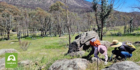 Wellbeing through Nature - Working Party: Namadgi National Park tickets