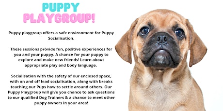 Puppy Playgroup - Puppy Socialisation tickets