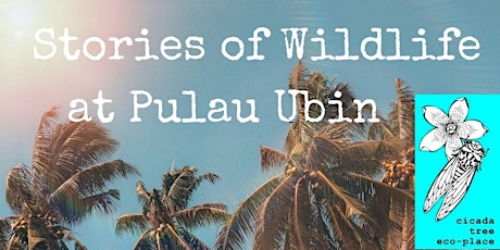 Stories of Wildlife at Pulau Ubin tickets