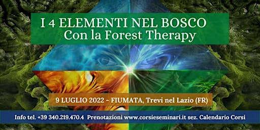 Forest Therapy - I 4 elementi nel Bosco