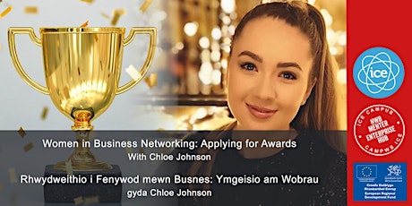 Women in Business Networking: Applying for Awards tickets