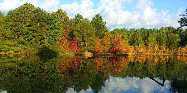 Tidewater Chapter HOW Event - Harrison's Mill Pond - June 25, 2022