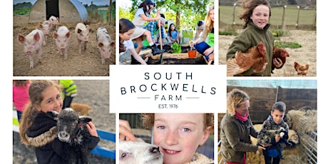 South Brockwells Farm Mini Farmers taster day (11-14yo) tickets