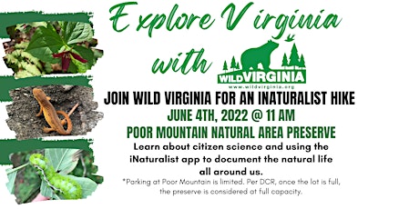 iNaturalist Guided Hike