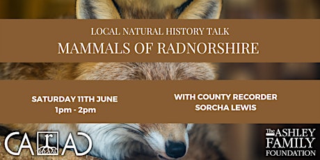 Learn about your local wildlife with expert Sorcha Lewis tickets
