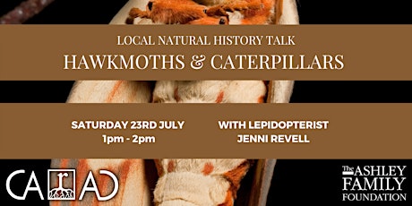 Learn about your local moths with expert Jenni Revell tickets