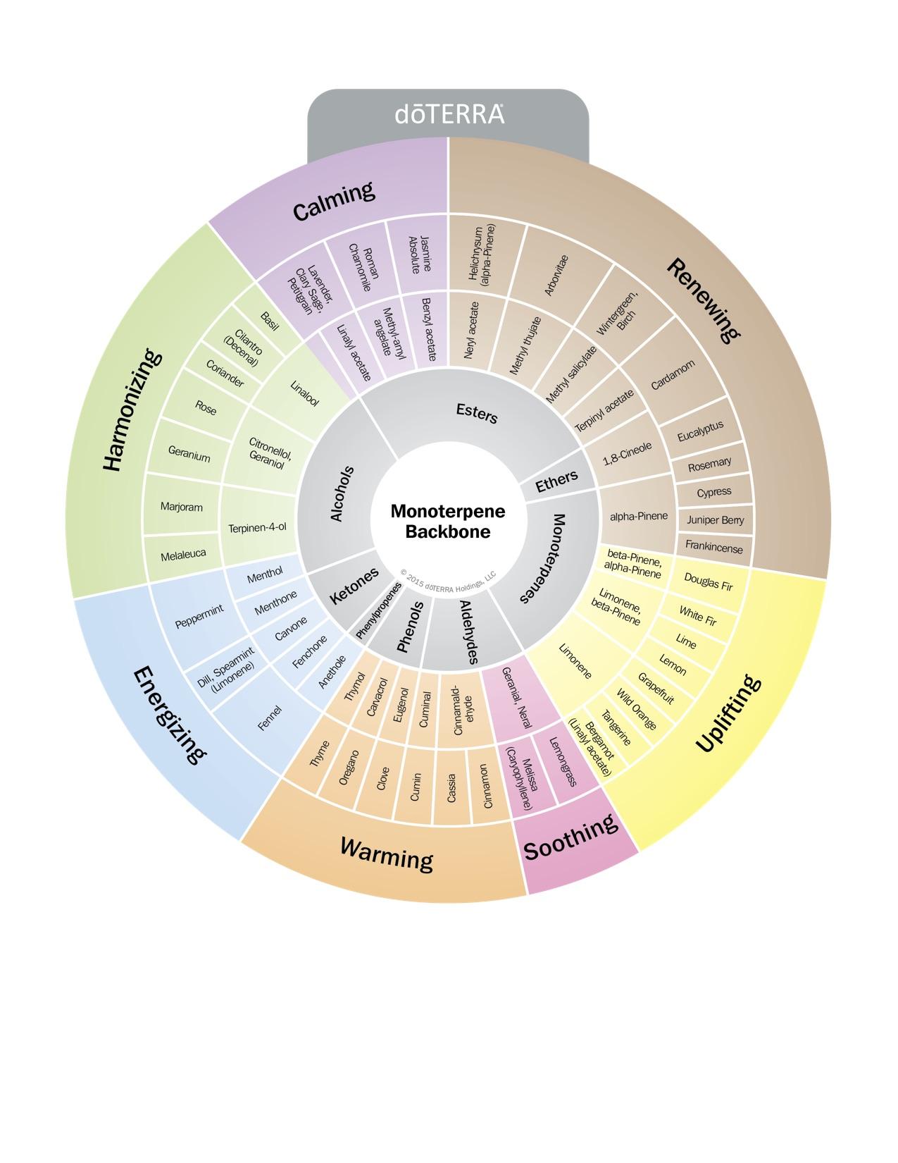 Adult Education Class / ESSENTIAL OILS 101 - Informational Series Experience