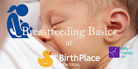 Breastfeeding Basics tickets