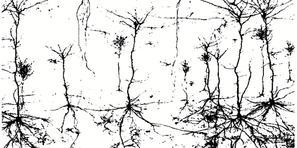 NEUReka! and SystSems joint symposium: NEURONAL DIVERSITY